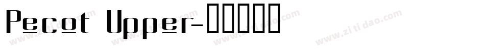Pecot Upper字体转换